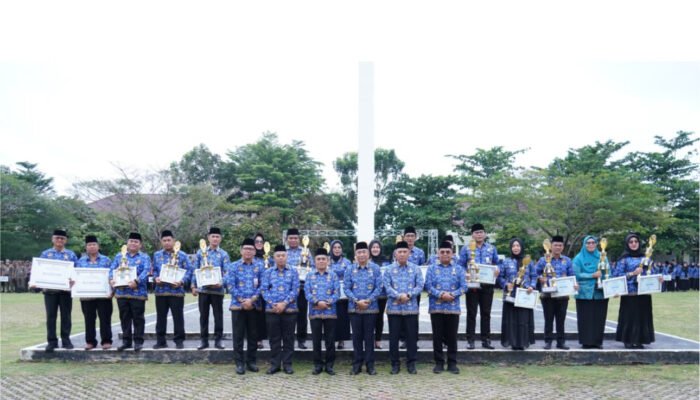 Pimpin Apel Gabungan, Wakil Bupati Ogan Ilir Beri Penghargaan Kepada Salah Satu ASN Guru Purna Bakti